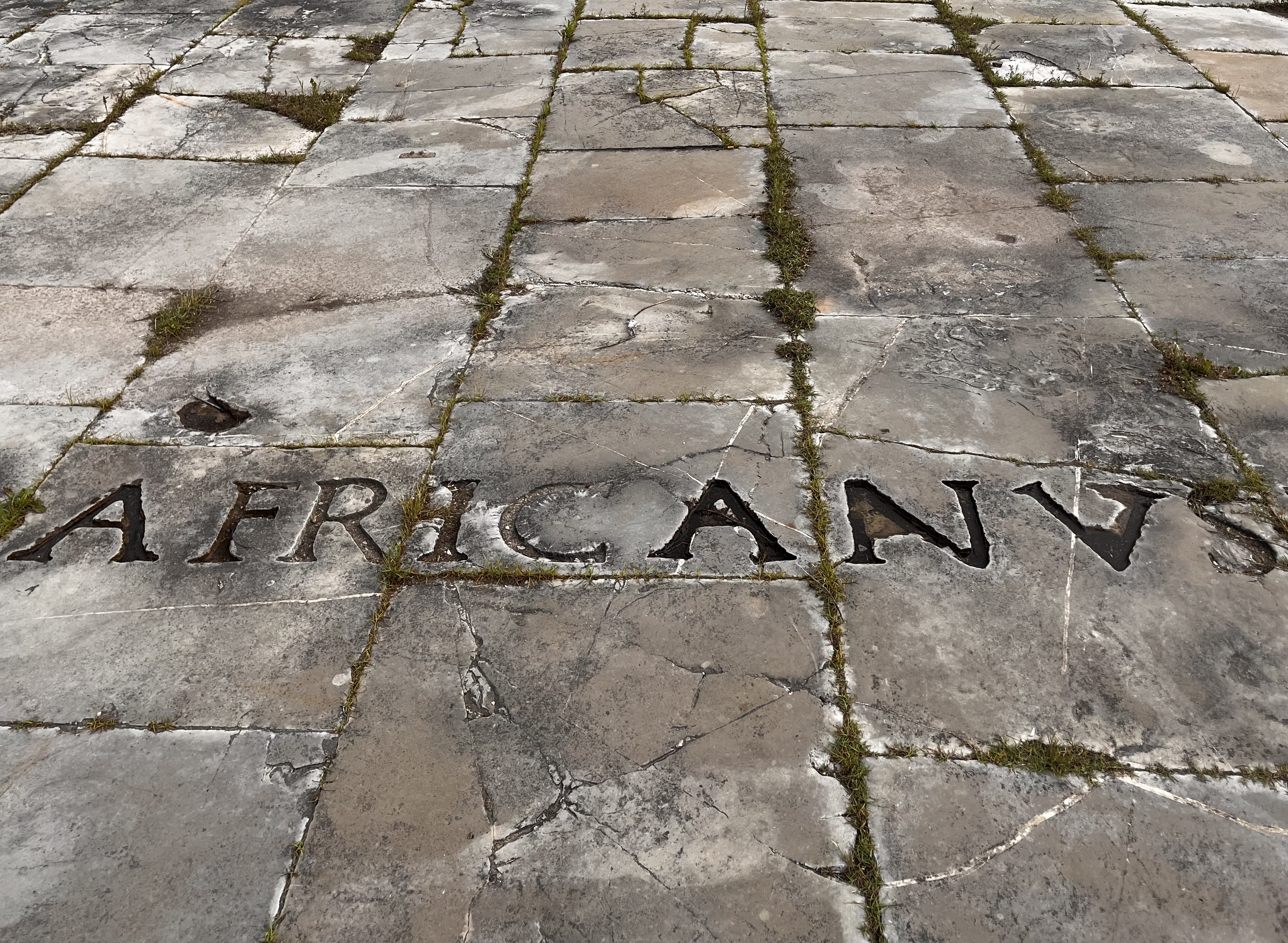 Africanus