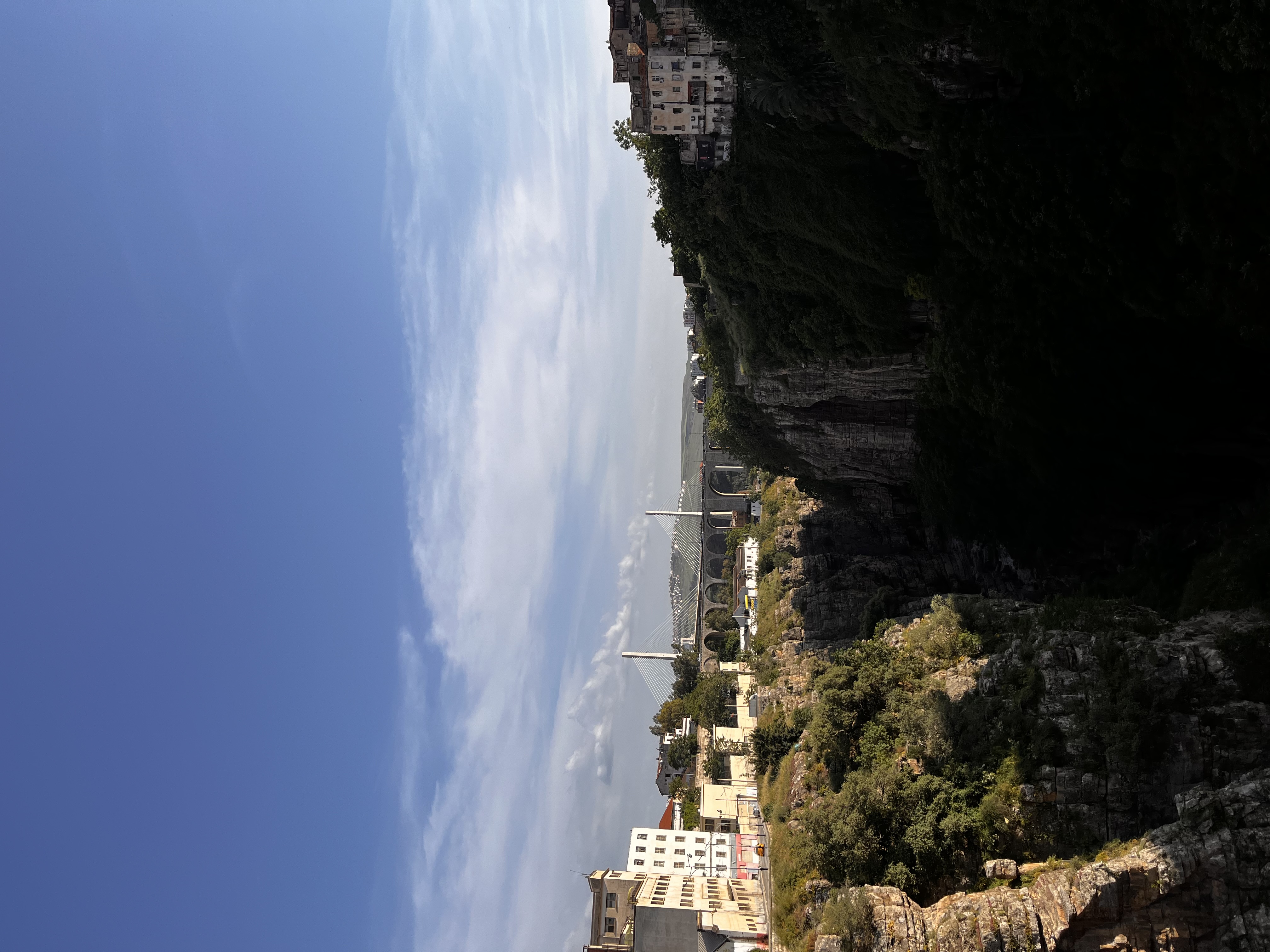 Bridge