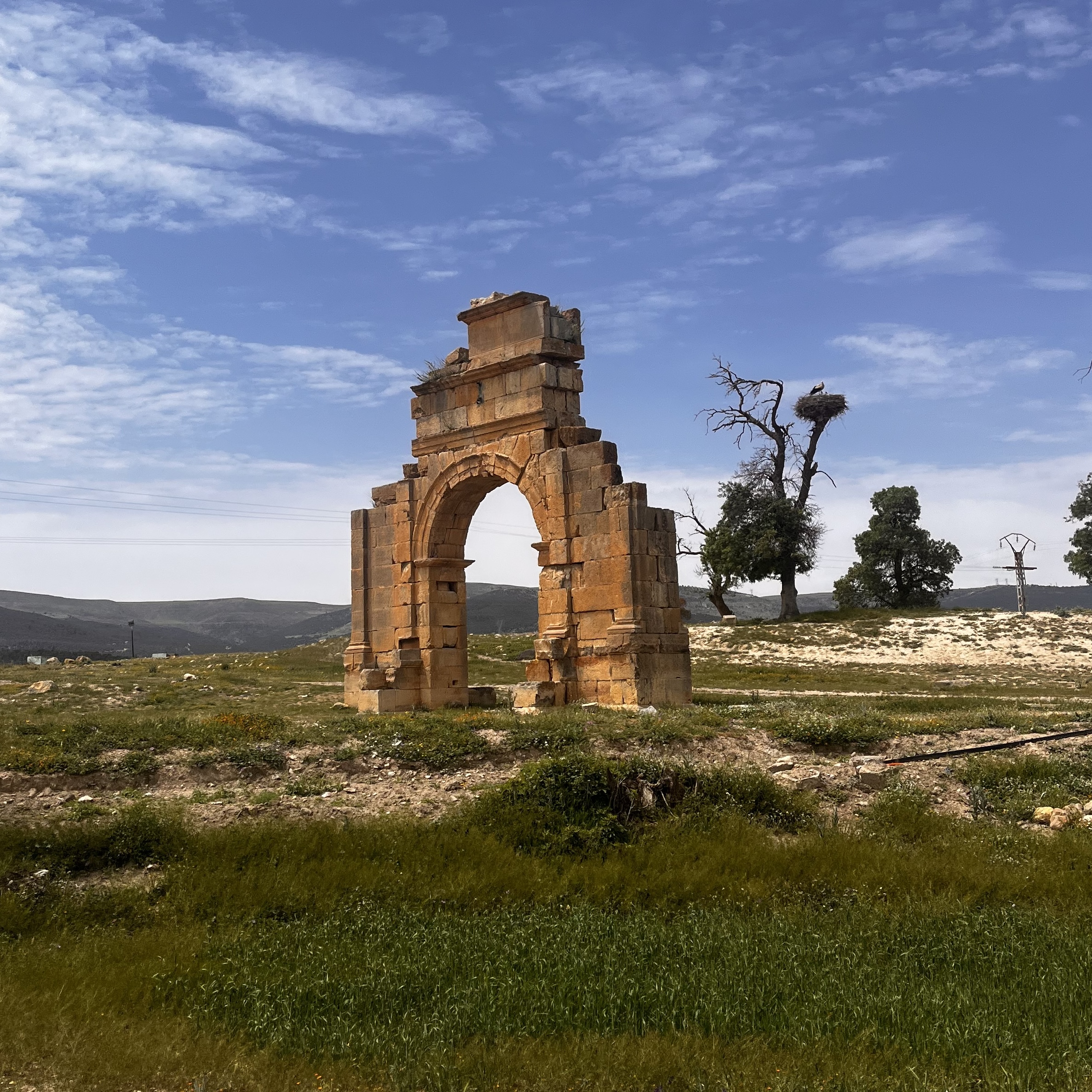 Road To Timgad