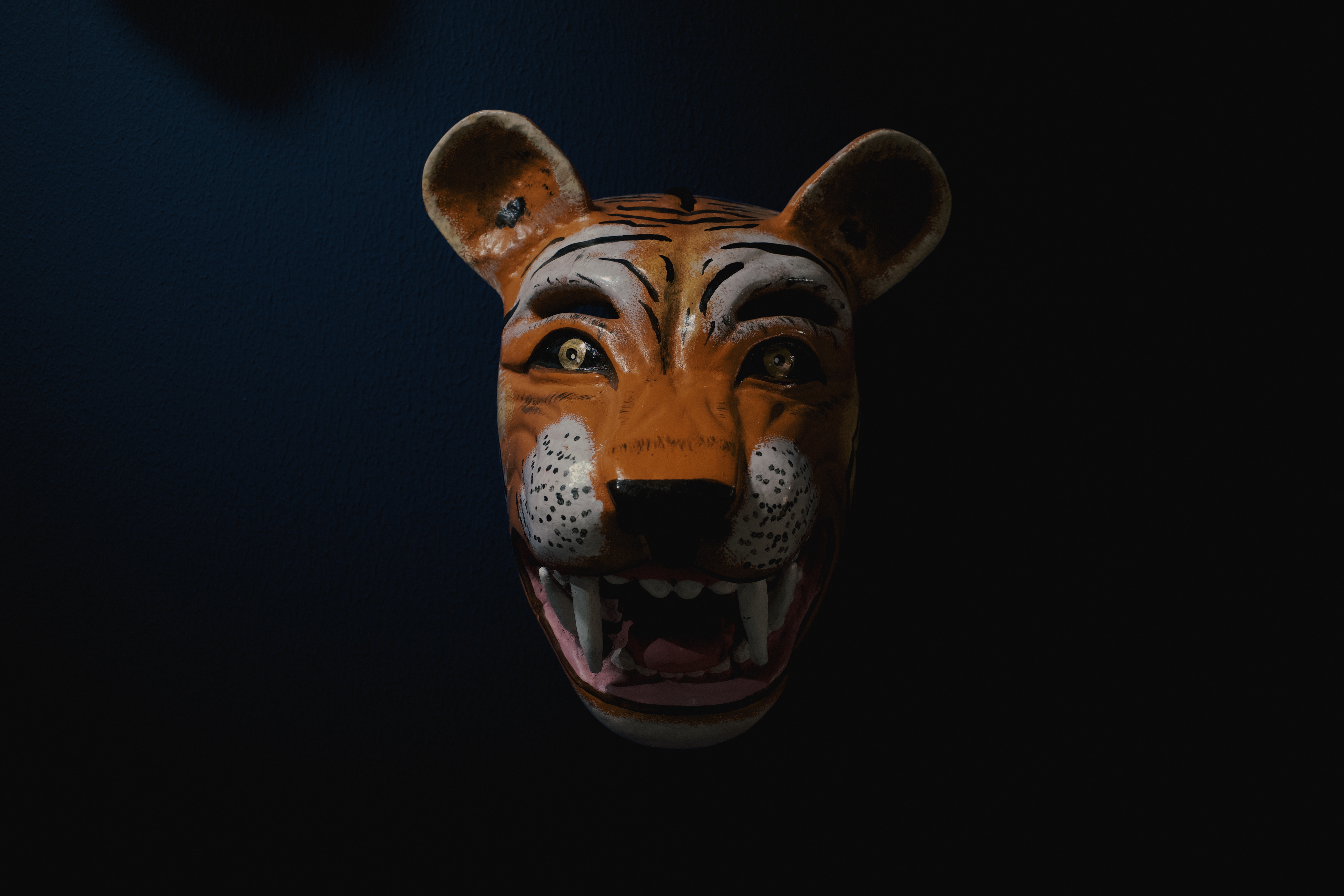 Mask