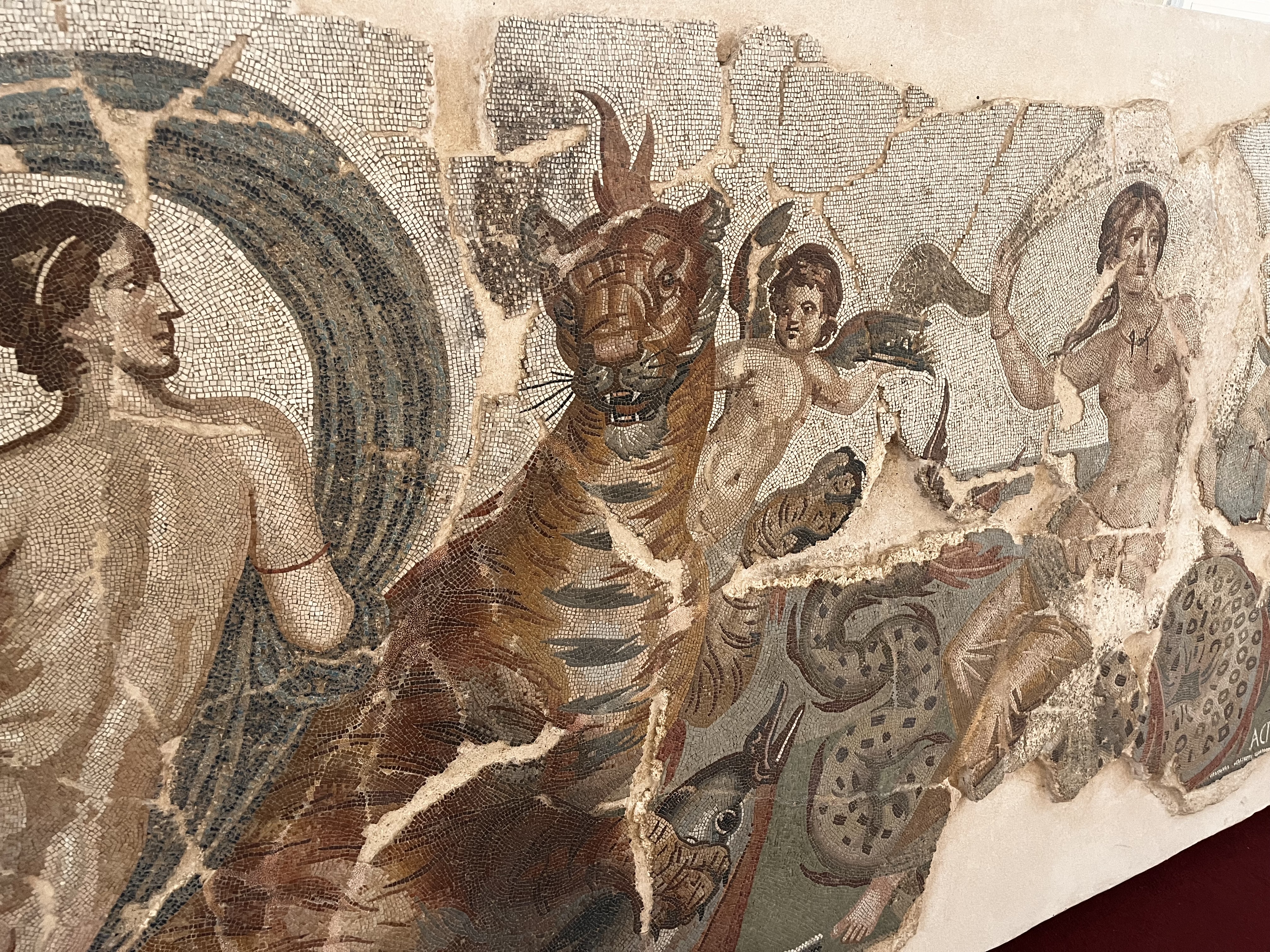 Mosaics in Timgad