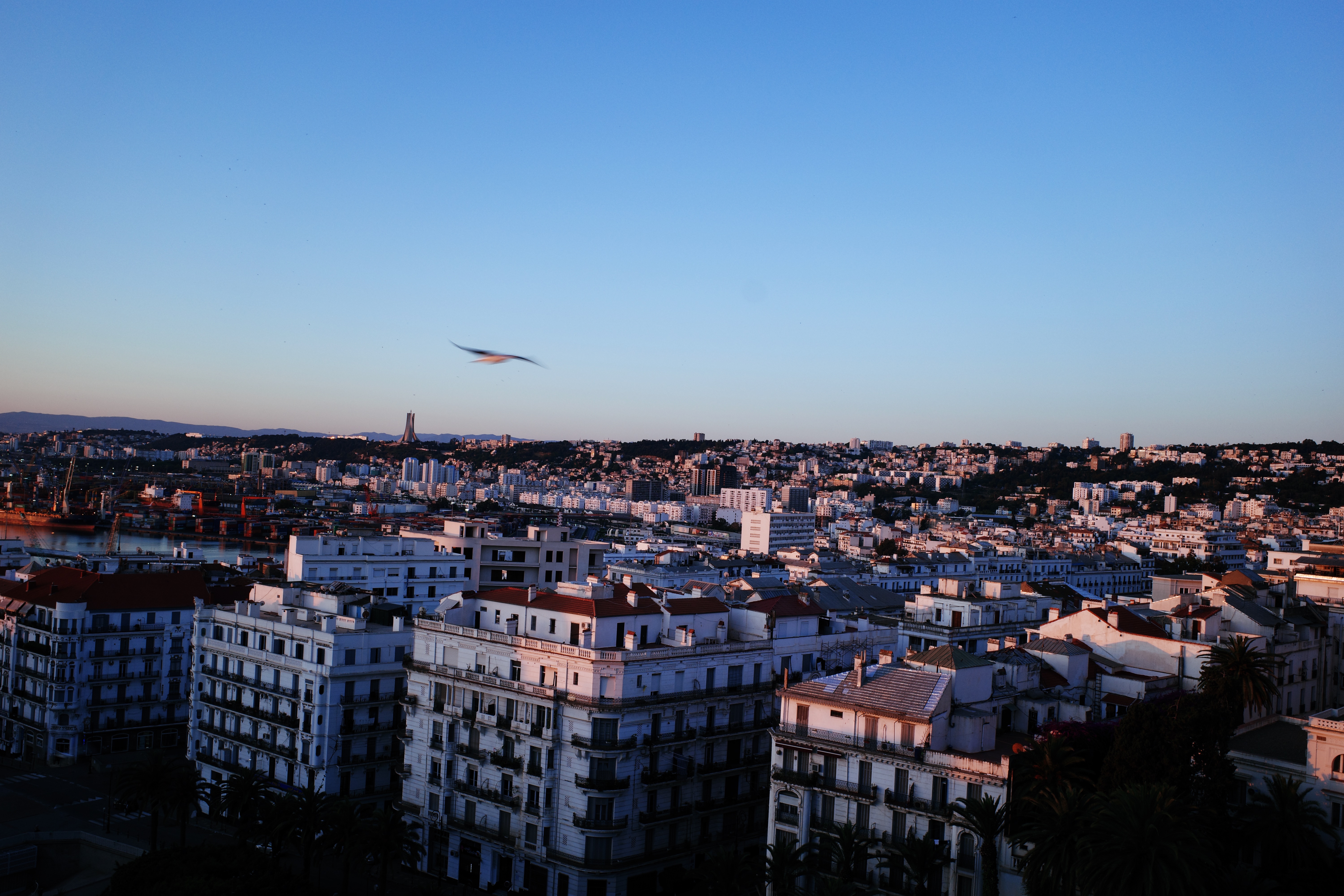algiers.jpg