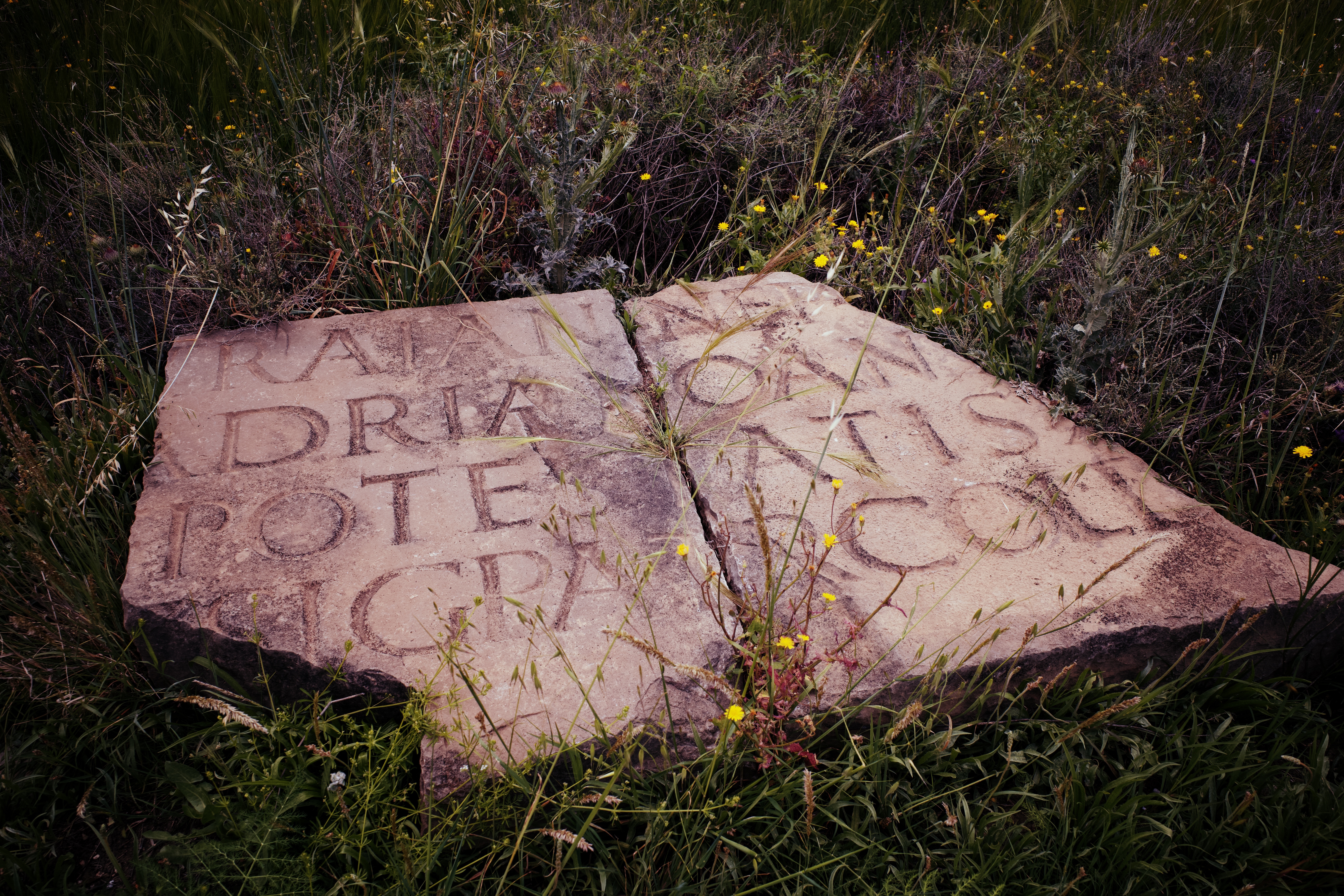 timgad_stones.jpeg