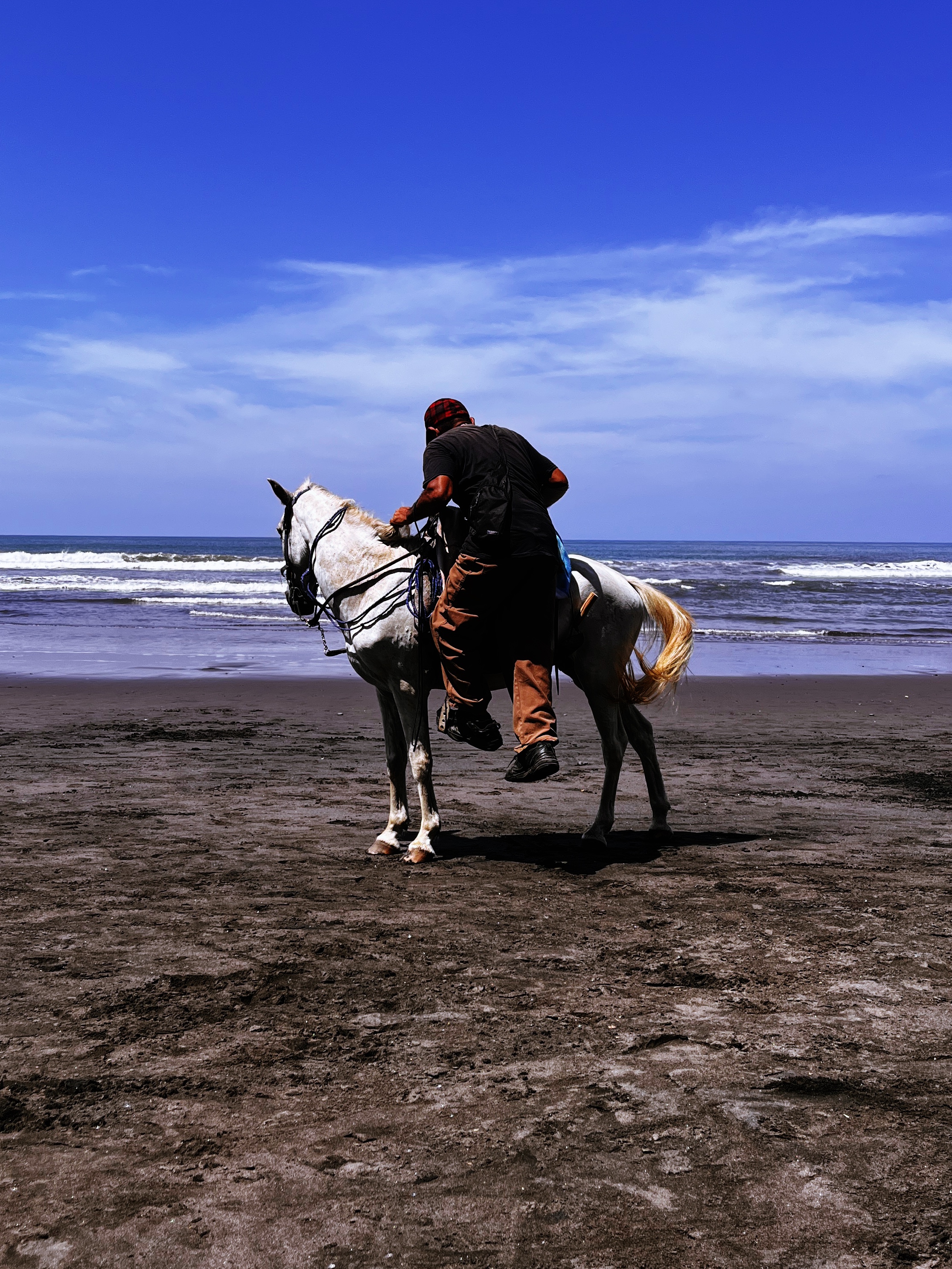 beach-horse.jpeg